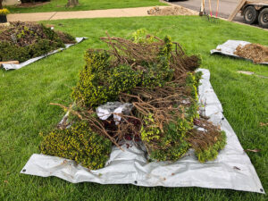 Greener Designs Lawn & landscaping Construction