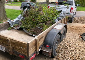 Greener Designs Lawn & landscaping Construction