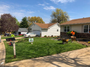 Greener Designs Lawn & landscaping Construction
