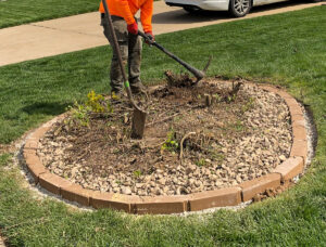 Greener Designs Lawn & landscaping Construction