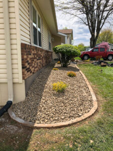 Greener Designs Lawn & landscaping Construction