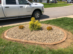 Greener Designs Lawn & landscaping Construction