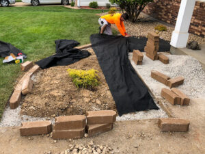 Greener Designs Lawn & landscaping Construction