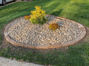 Greener Designs Lawn & landscaping Construction
