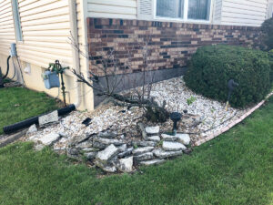 Greener Designs Lawn & landscaping Construction