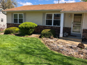 Greener Designs Lawn & landscaping Construction