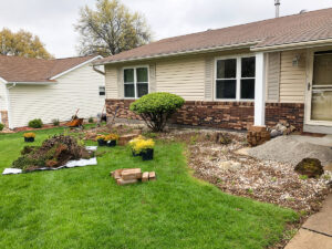 Greener Designs Lawn & landscaping Construction