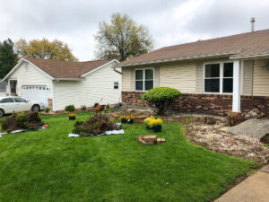 Greener Designs Lawn & landscaping Construction