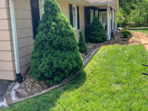 Greener-Designs-Residential-Landscaping-14