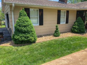 Greener-Designs-Residential-Landscaping-19