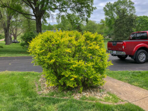 Greener-Designs-Residential-Landscaping-5
