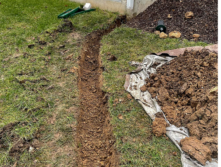 Summer Discount - Greener Designs Landscaping