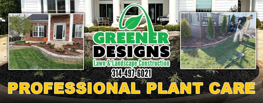 Professional-Plant-Care-Banner