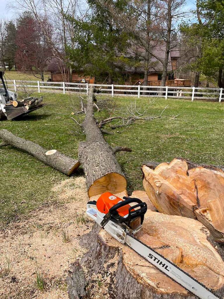 Tree-Cutting-down